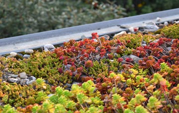 the cost of Kelvinside green roof installation