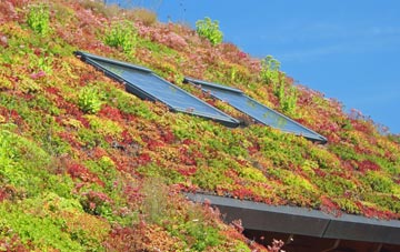 Kelvinside living roof systems