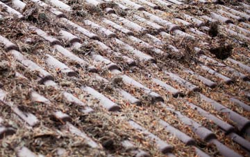 Kelvinside roof cleaning companies