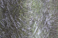 Kelvinside fibreglass roof work